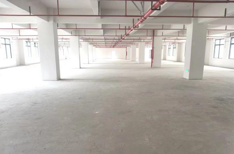 全新厂房，原房东公摊小，四面采光好，有消防有环评