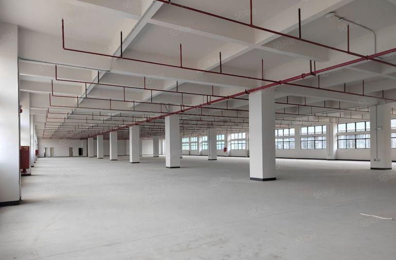 黄江全新标准独栋24000重工业厂房出租，大小可分租