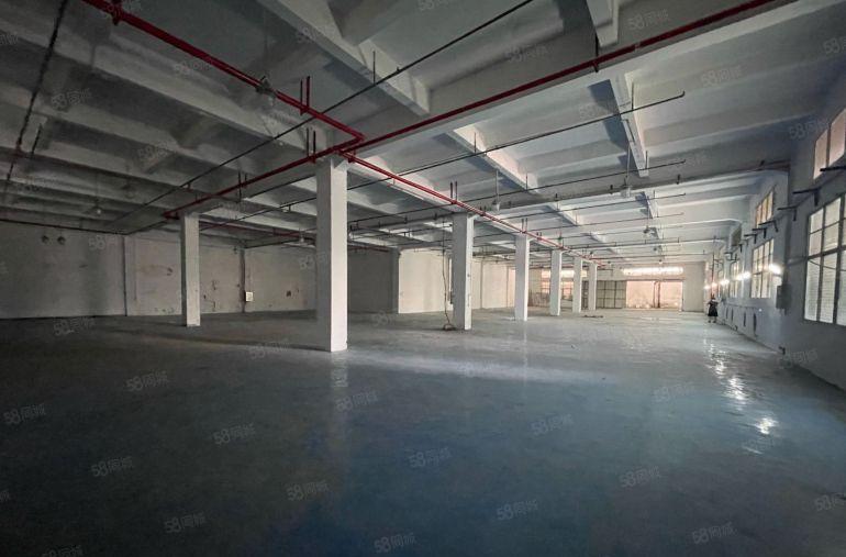 黄江镇临深星光村标准厂房1950平有喷淋5.5米高配套齐全