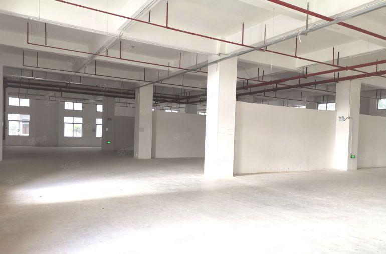 一楼，原房东自建红本厂房，大园区环境好，大量停车位