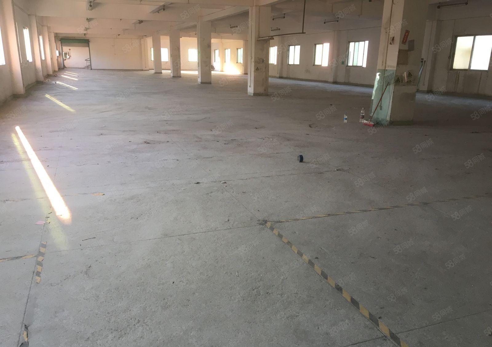 黄江一楼厂房1500平方米。价格实惠可分租