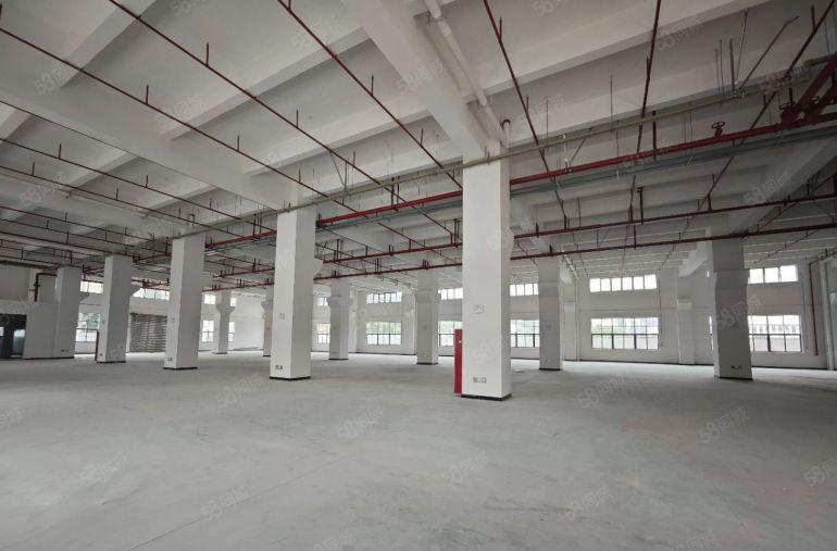 黄江镇靠常平镇新出原房东实际面积26680平方独门独院厂房