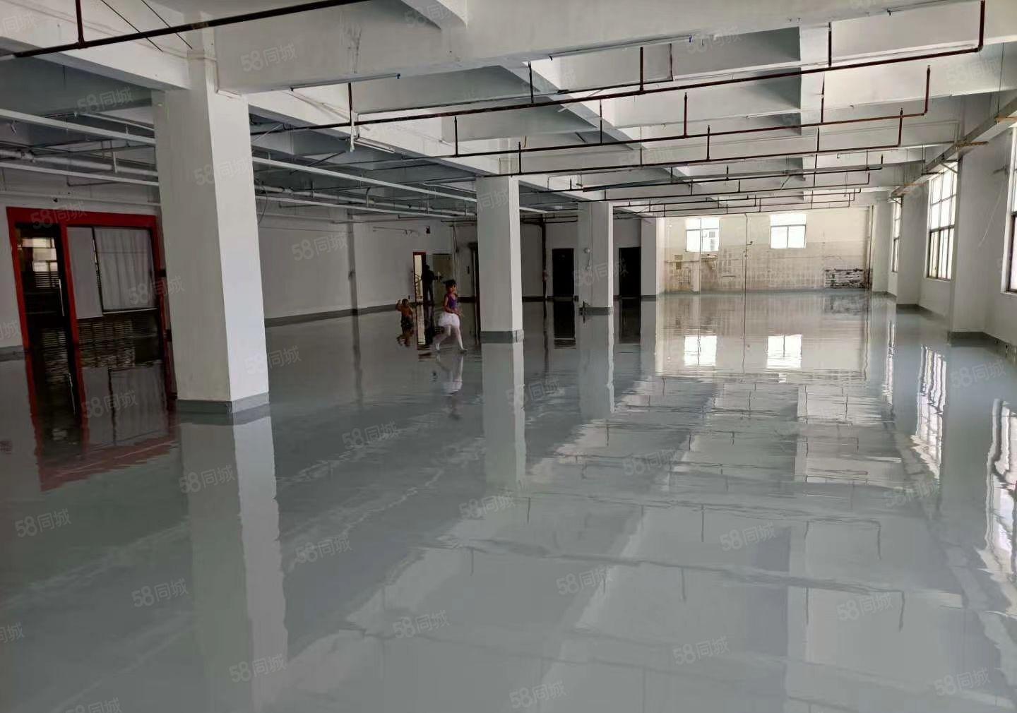 黄江北岸工业区新出一二楼标准花园式厂房，每层1600平，可分