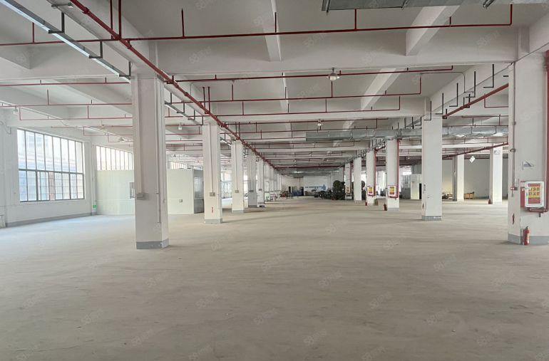 黄江新出原房东标准独院带红本三吨两部形象好空地大带现成办公室