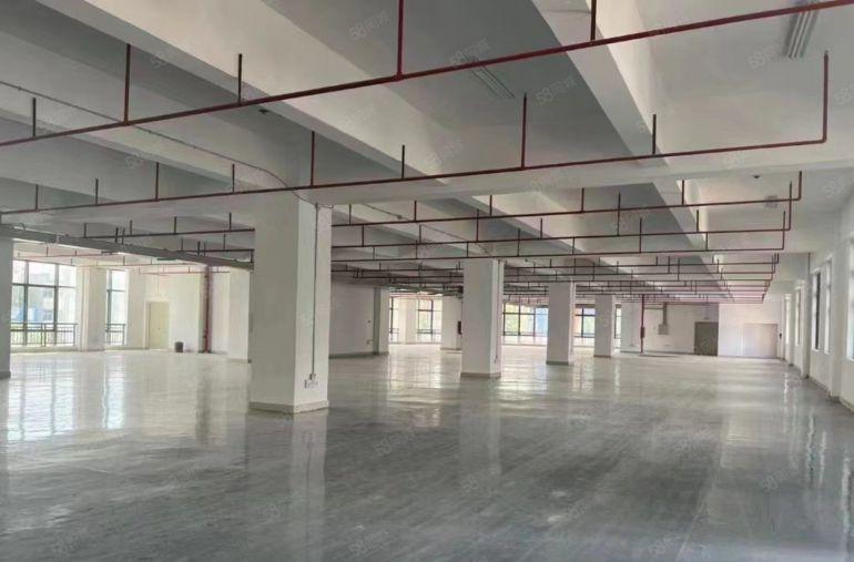 黄江推出独院特价厂房10元平，空地大，交通好！