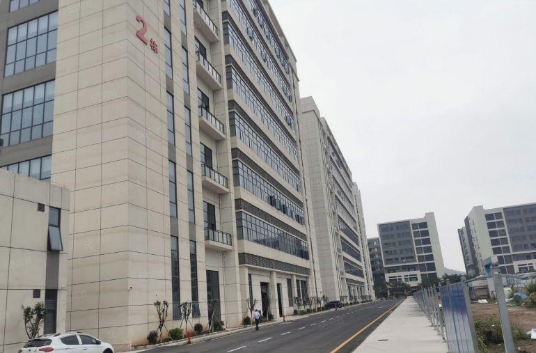 黄江临深全新科技园区招租面积5万平1000平起分享高新补贴