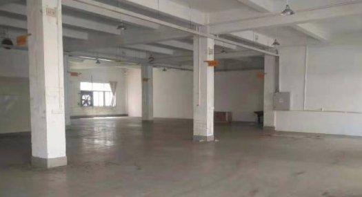 无公摊 清溪三中出租原房东一楼厂房1000平高速路口附近