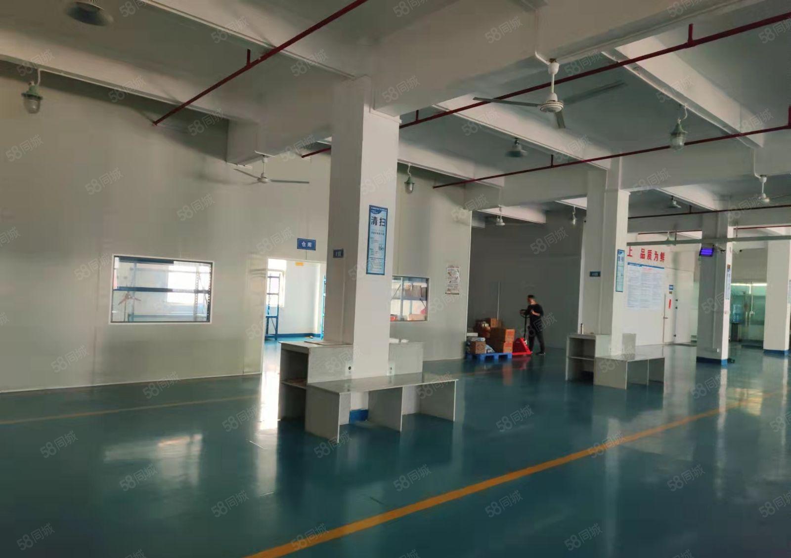 大岭山杨屋一楼1400平方，现成装修地坪漆，水电齐全光线好