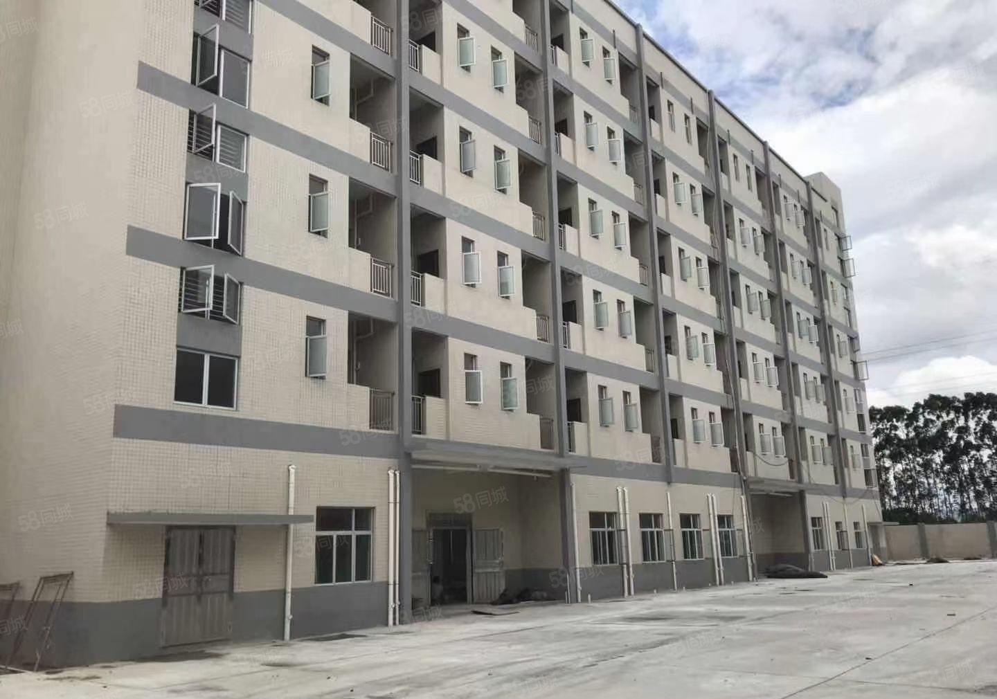 大岭山3000平米10米高钢构单一层低价出租，可分租可办环评