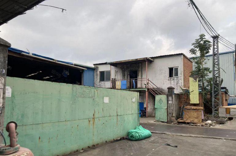 大岭山独院厂房出租 可做打包场 超低价 现成设备可转让