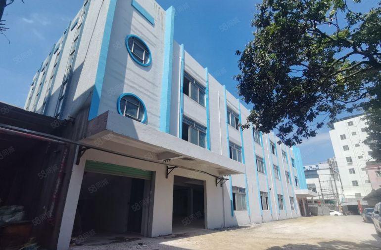 大岭山靠高速路口新出独院标准厂房水电齐全，特价出租9.9块!