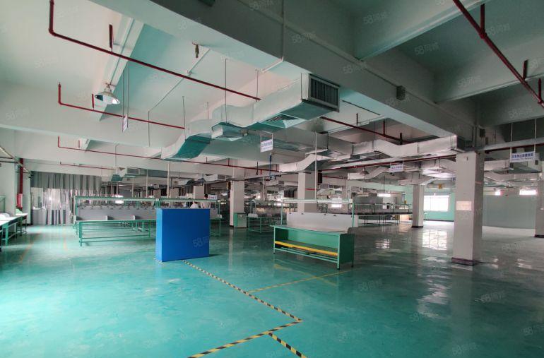 大片美工业区新出房东直租独院厂房8500平方，每层带豪华装修