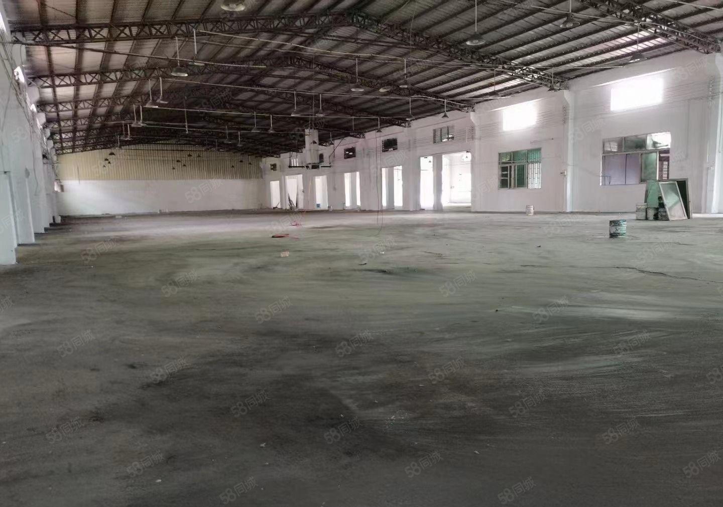 大岭山新出单一层独院厂房已全面翻新，自带卸货平台