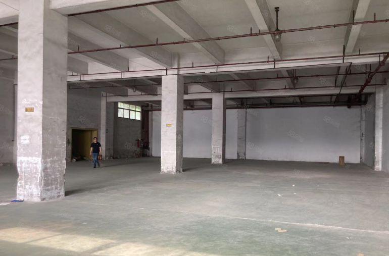 大岭山镇杨屋厂房一楼