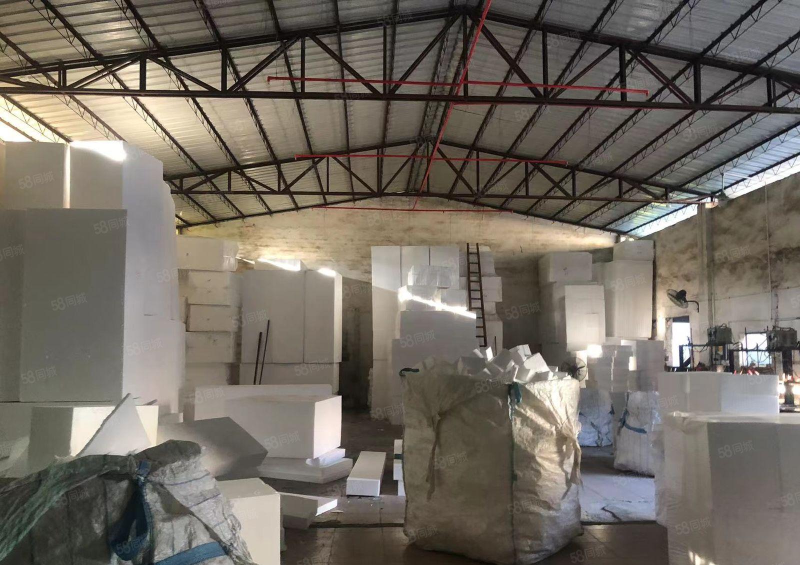 大岭山新塘600平原房东独独院单一层钢构厂房出租