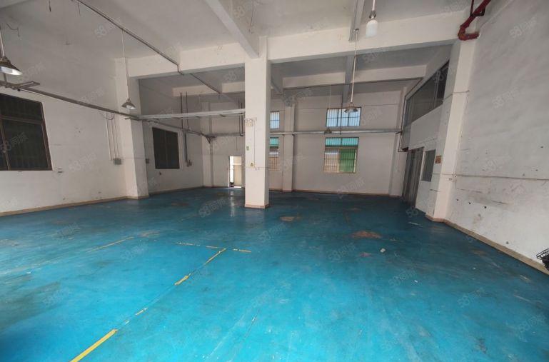 低价厂房出租大岭山杨屋一楼400平厂房低价出租