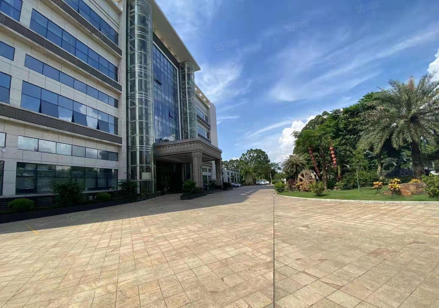 新塘工业区新出独门独院标准厂房，想要形象好的看过来！