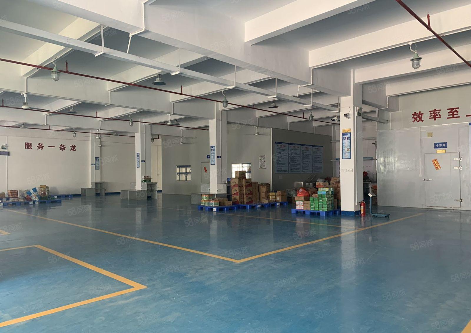 出租丨大岭山新出独门独院1至3层3600平方可分租带装修