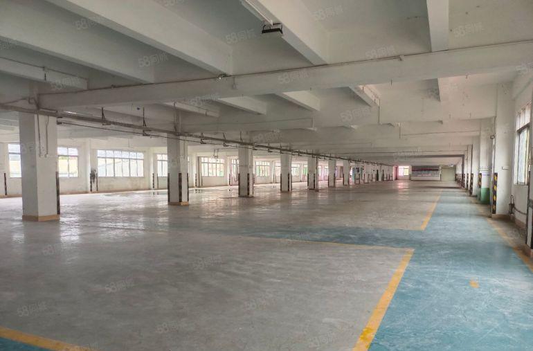 15元整租 大岭山新出独院厂房出租上市公司形象高大上实际面积