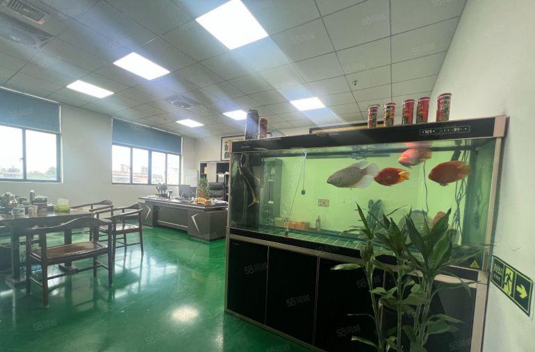 大岭山杨屋精装修厂房1800平