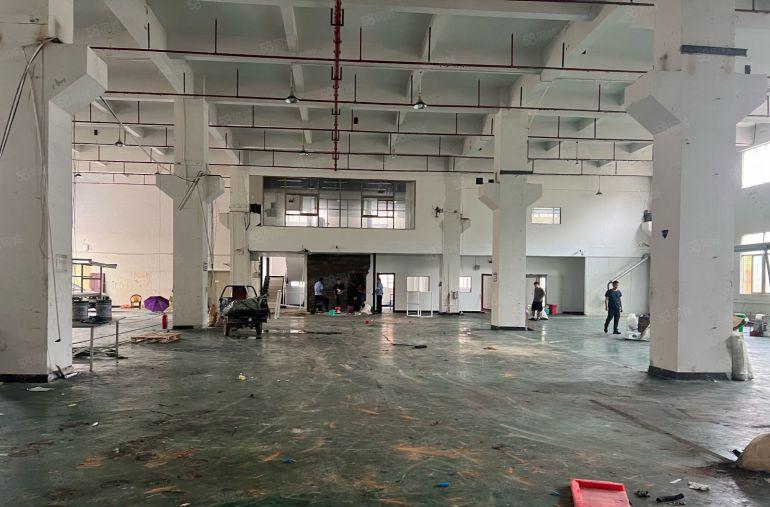 大岭山杨屋原房东标准一楼1680平高8米有牛角精装阁楼办公室