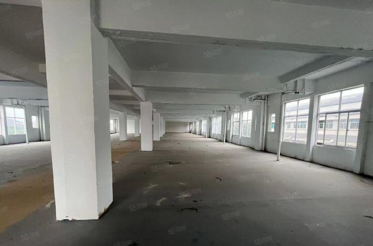 大岭山镇，独院标准厂房低价出租，出入方便