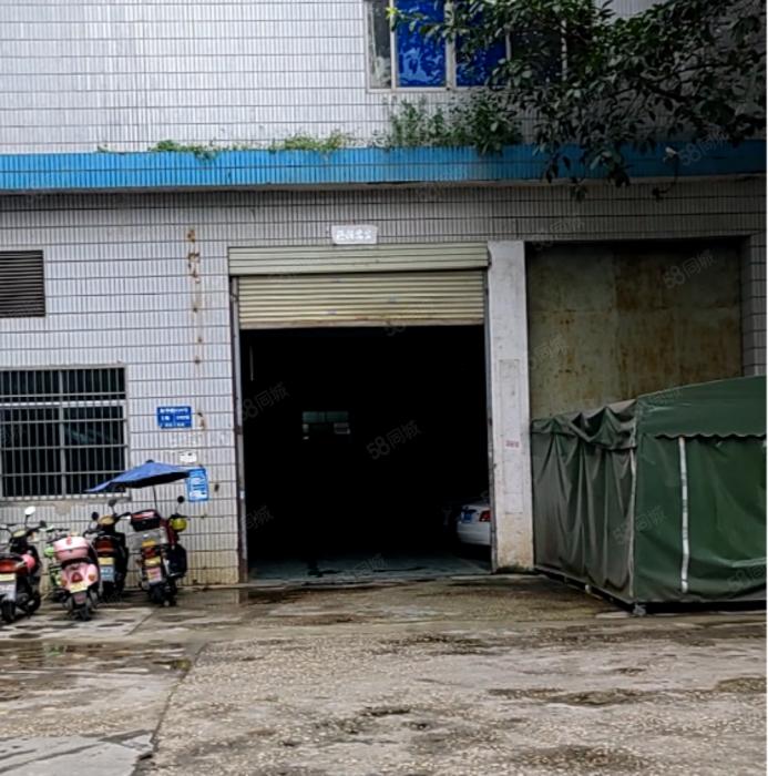 大岭山龙大高速附近 标准一楼厂房出租 精装修 超低价 可办环