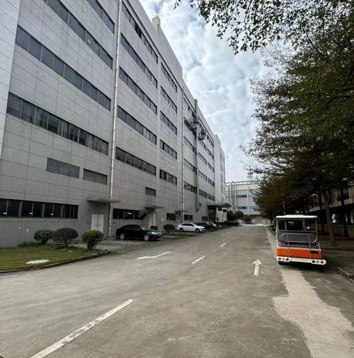 大岭山高大上形象标准厂房出租装修600万现成的不用再铺电线