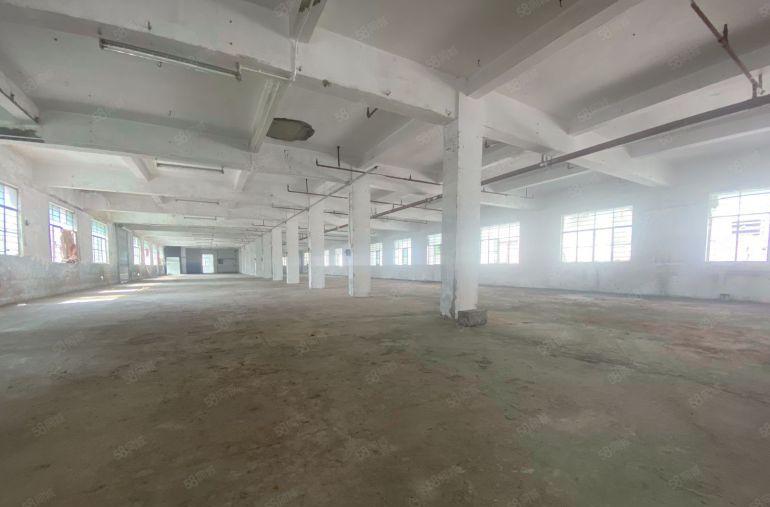 10块 大岭山镇107国空出原房东经典独门独院低价厂房出租