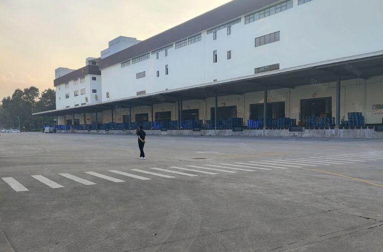 大岭山镇物流仓库，快递仓库，电商仓库，高台仓库出租，高速近