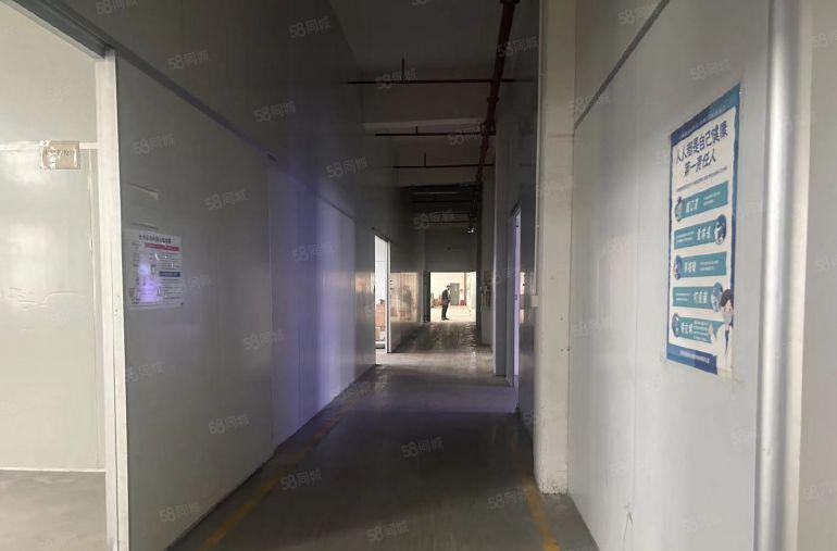 大岭山本地房东红本标准7500平三层经典独院厂房出租