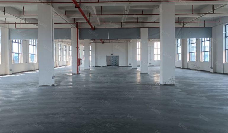 大岭山镇大塘路口全新重工业红本厂房可办环评有喷淋消防丙二类