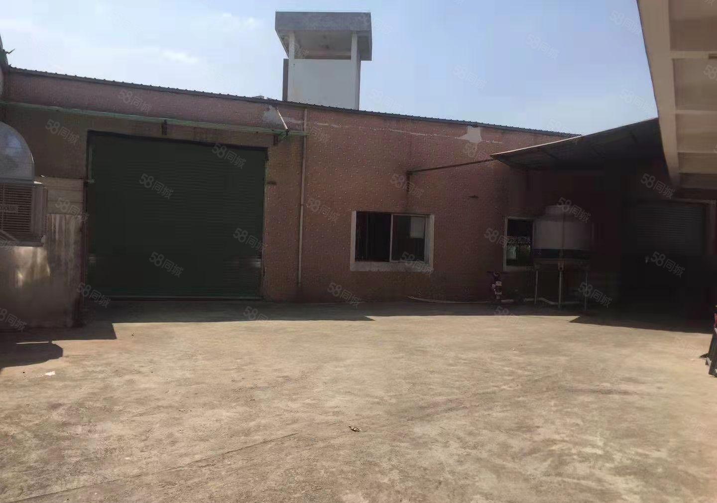 大岭山原房东自建单层小独院920平方出租，价格美丽