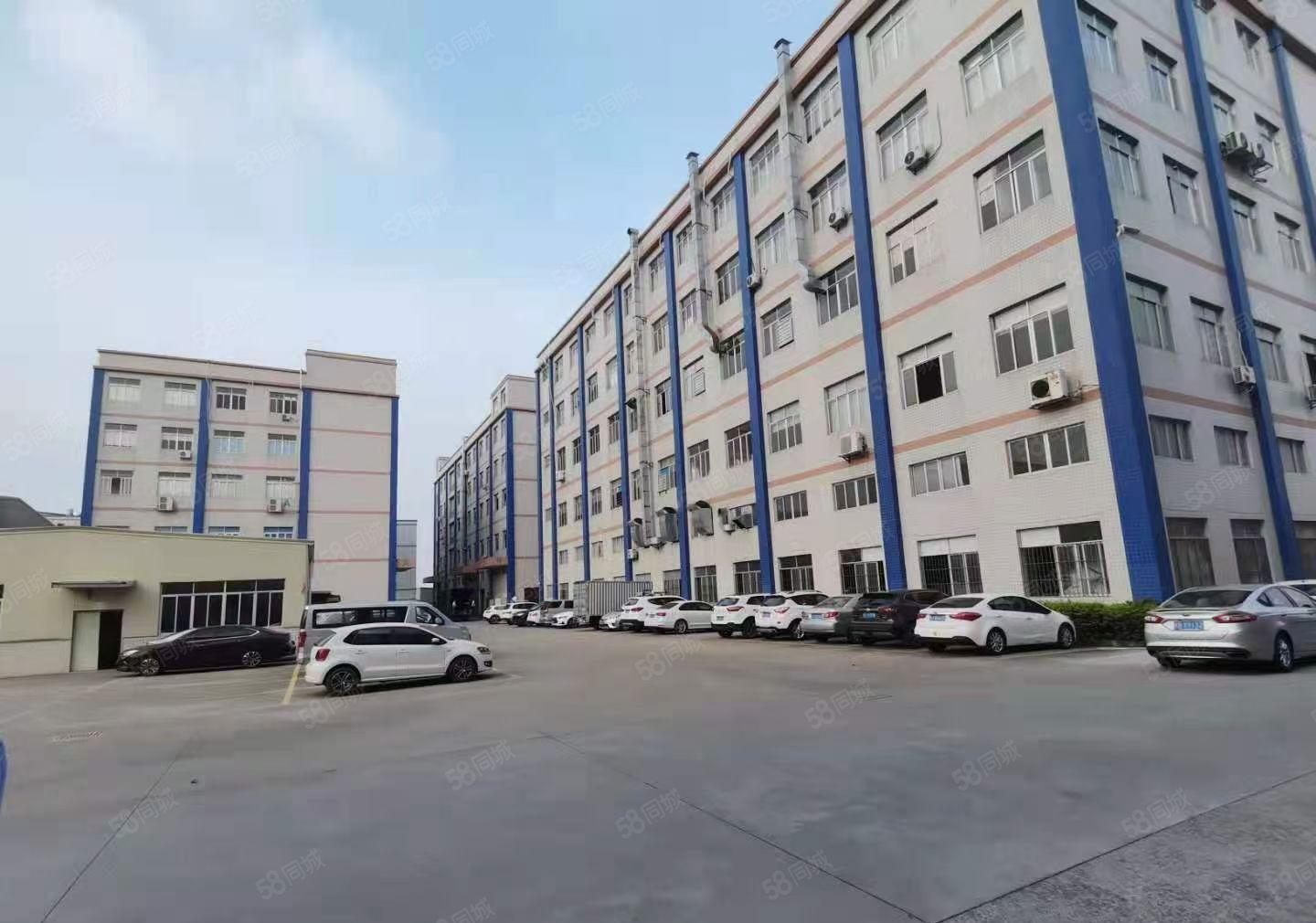 大岭山原房东厂房分租五楼1750平米，带精装修