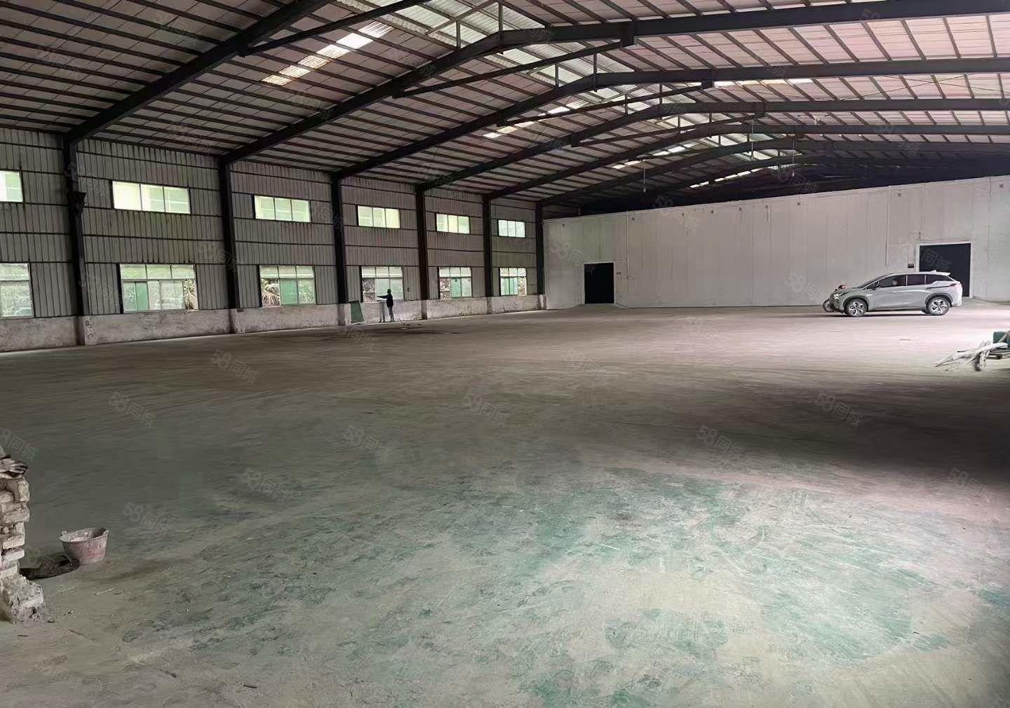 原房东独门独院单一层钢构9米高度4100平方实际面积报价25