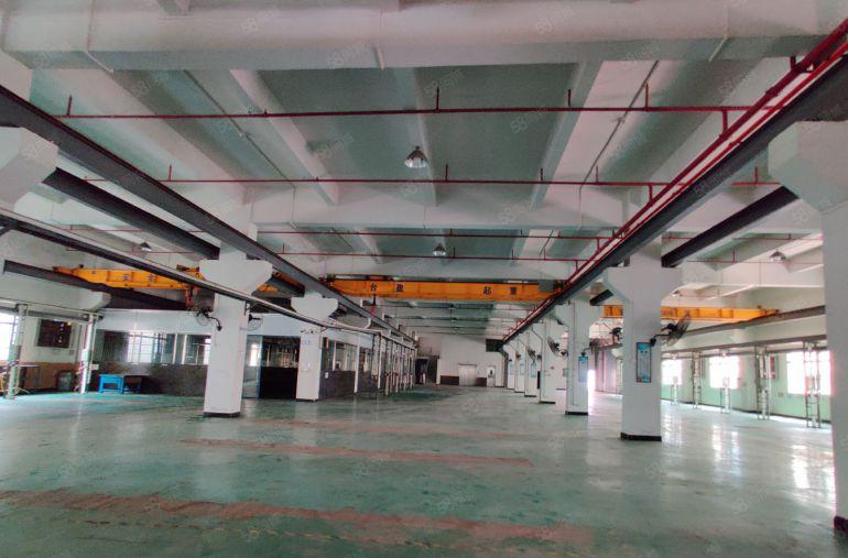大片美工业区新出房东直租独院厂房8500平方，每层带豪华装修