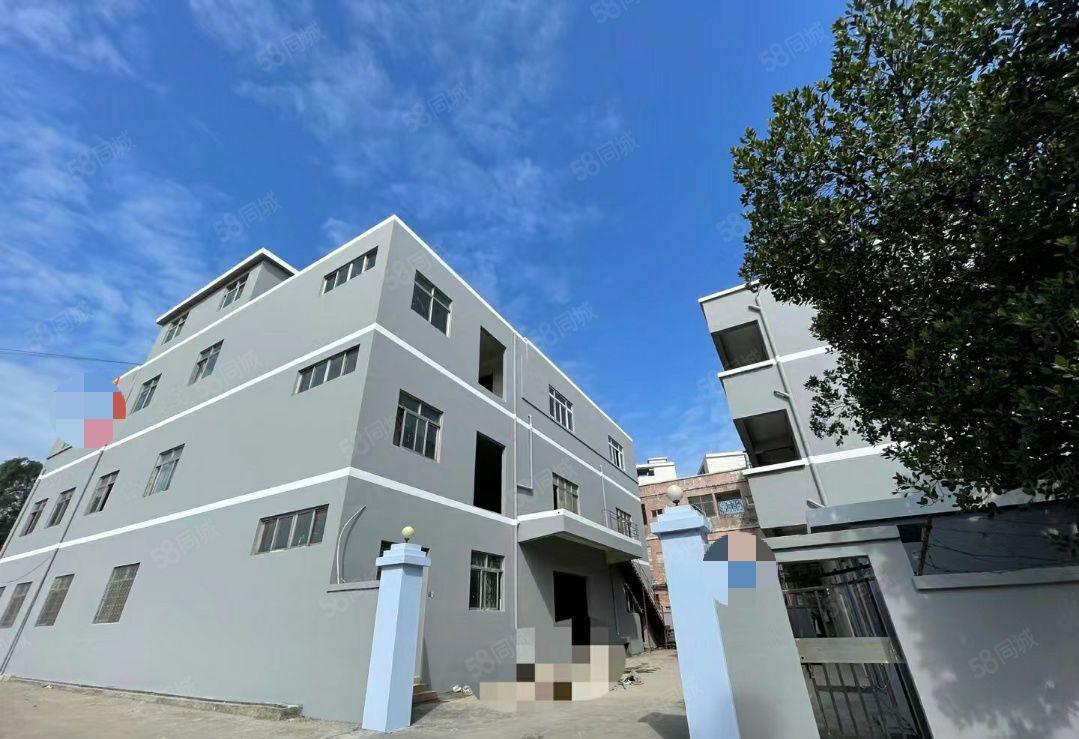 大岭山镇新出原房东独门独院标准4200平方厂房出租 可过环坪