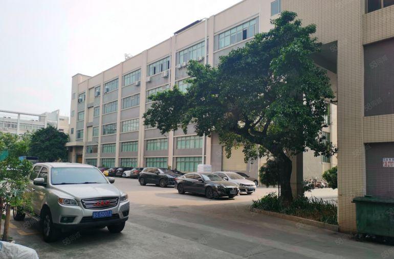 大岭山厂房出租 一楼一千平方米起租 独院厂房出租 原房东