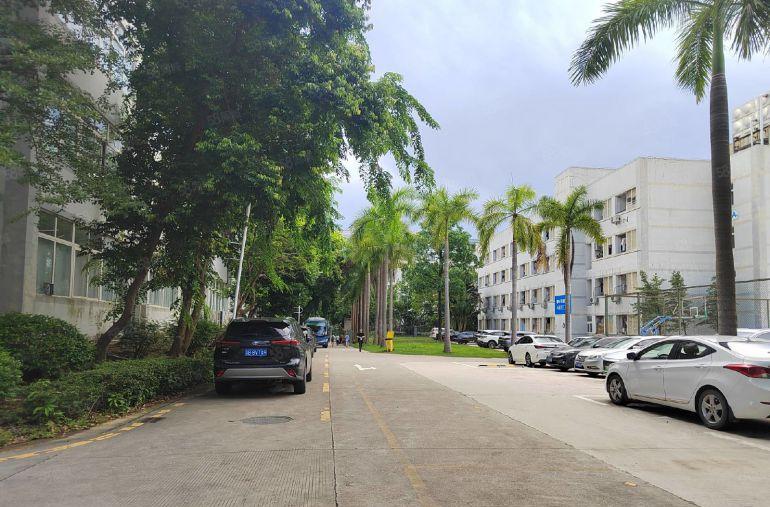 大岭山工业园区新出楼上800平方厂房出租带装修水电齐可分租