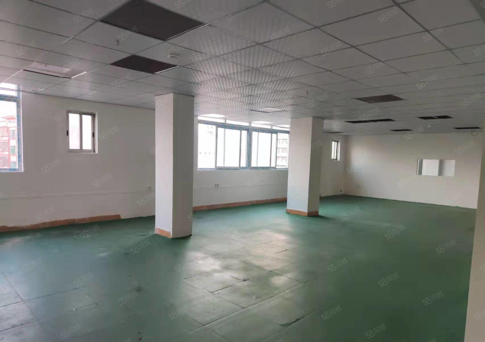 大岭山新出厂房出租450平方带办公室装修，地坪漆天花吊顶