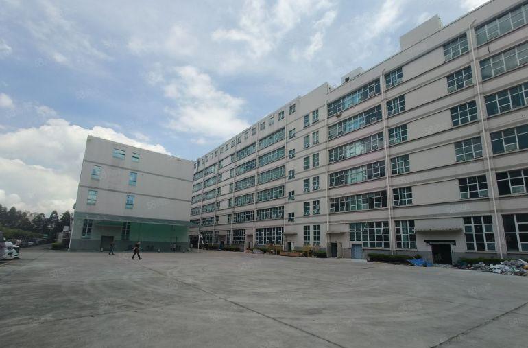 500平起分零公摊大岭山原房东厂房出租69000平首层高7米