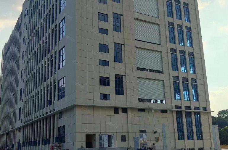 大岭山高速出口900平全新红本厂房可办环评有喷淋好招工