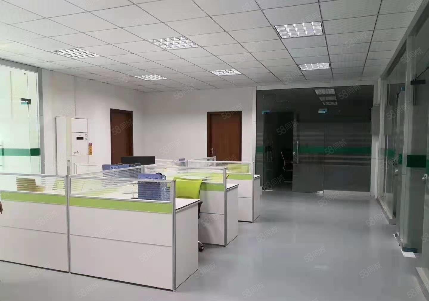 大岭山森林公园旁新出一楼厂房招和1680平6米高主线拉到车间