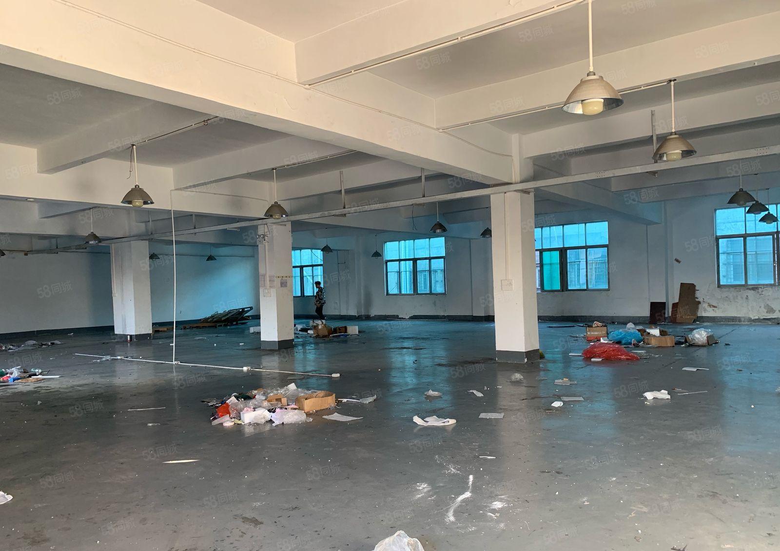 大岭山工业区原房东精装修1000平厂房出租仓库出租