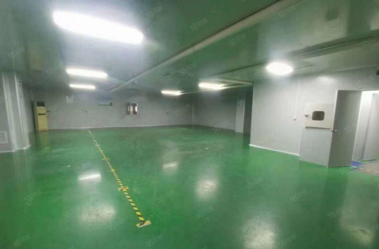 大岭山杨屋工业区，无尘车间厂房出租 超低价 带装修 可办环评