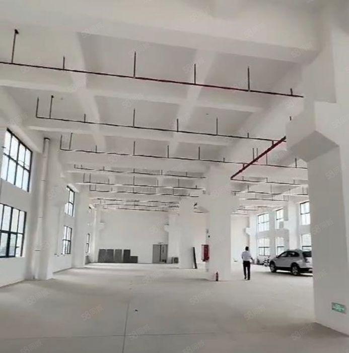 大岭山全新红本重工厂房出租 一楼1300，高7.5米 带牛角