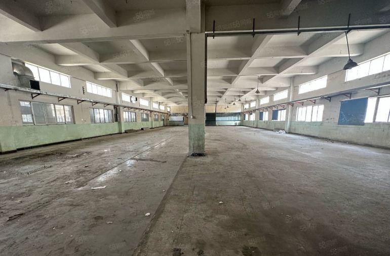 大岭山原房东独门独院实际面积3600平方低价厂房出租