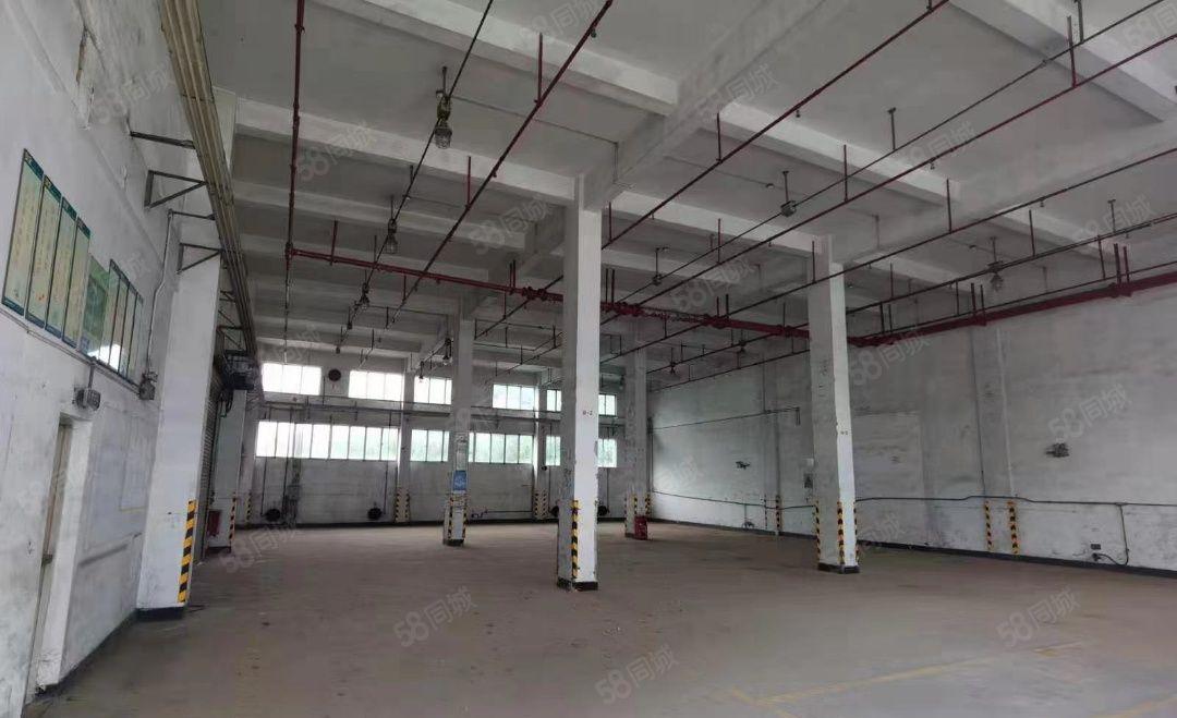 大岭山原房东单一层9200平方，层高10米，可分租