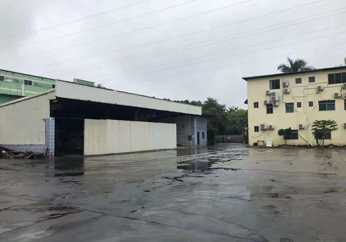 大岭山临深区域原房东独门独院，超大空地3000平