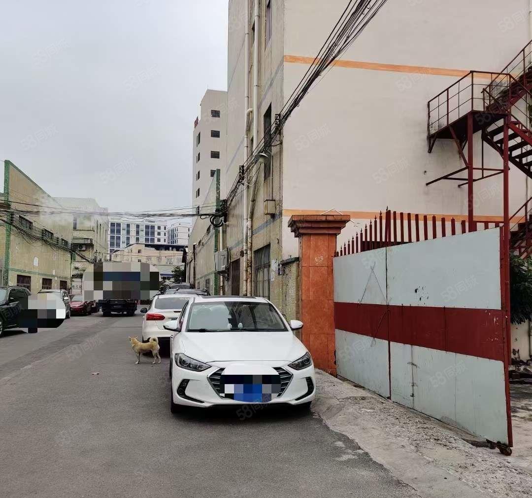 大岭山厚大路新出独门独院，砖墙到顶单一层2150平方出租